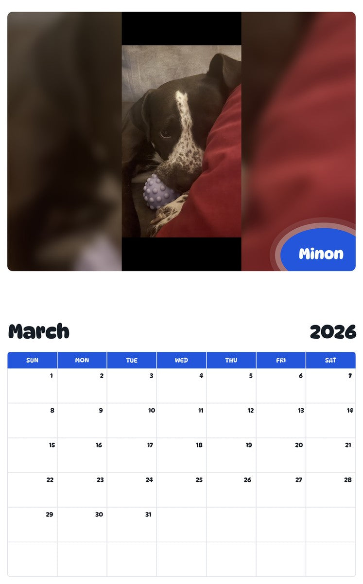 November 2025 - October 2026 Minon - Pawidols Pet Calendar