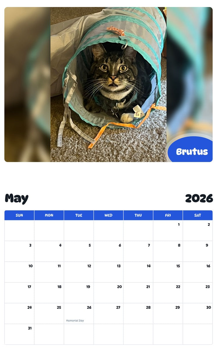 2026 - 2027 Brutus - Pawidols Pet Calendar