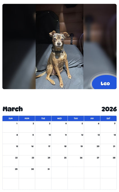 November 2025 - October 2026 Leo - Pawidols Pet Calendar