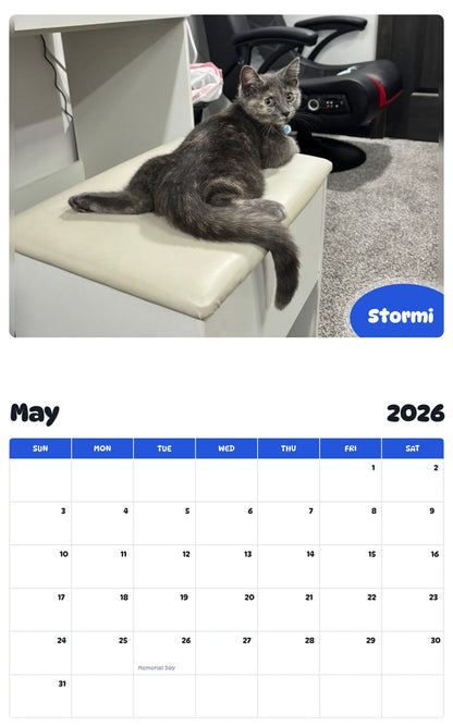 2026 - 2027 Stormi - Pawidols Pet Calendar