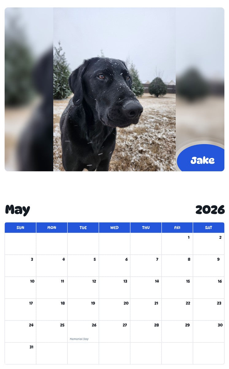 2026 - 2027 Jake - Pawidols Pet Calendar