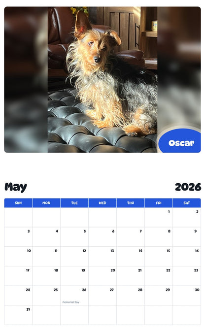 2026 - 2027 Oscar - Pawidols Pet Calendar