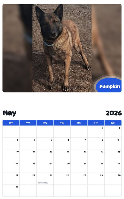 2026 - 2027 Pumpkin - Pawidols Pet Calendar