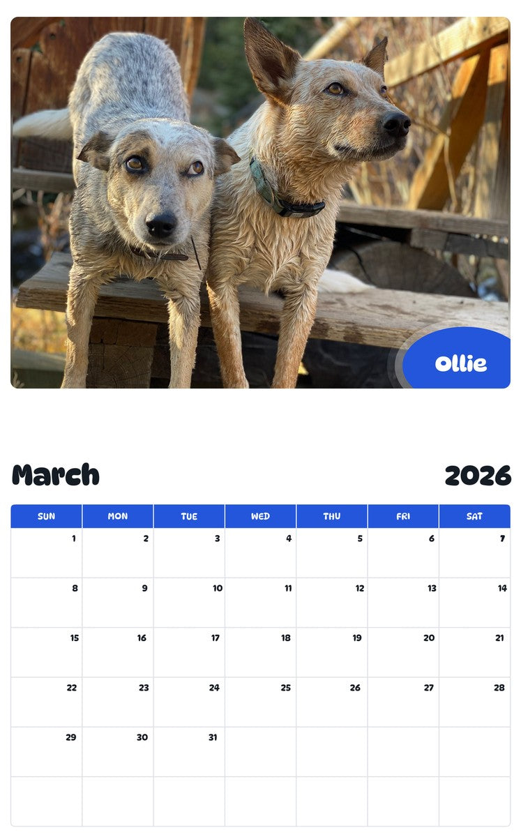 November 2025 - October 2026 Ollie - Pawidols Pet Calendar