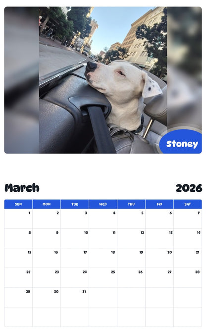 November 2025 - October 2026 Stoney - Pawidols Pet Calendar