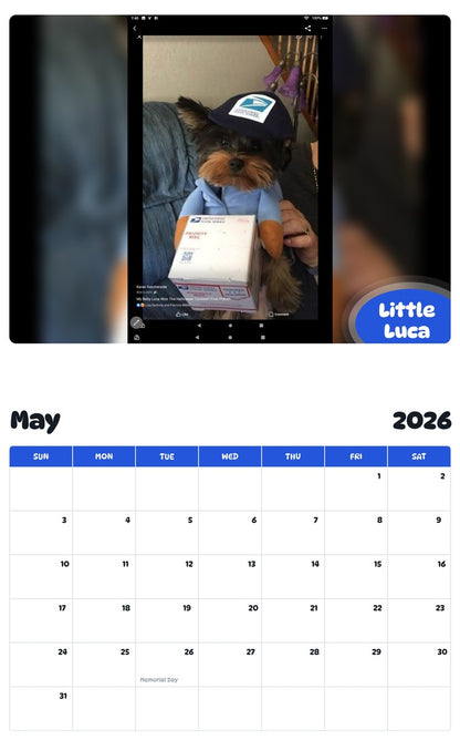 2026 - 2027 Little Luca - Pawidols Pet Calendar