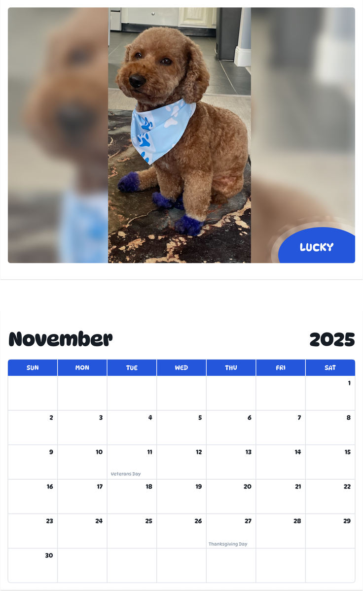 July 2025 - June 2026 Lucky - Pawidols Pet Calendar
