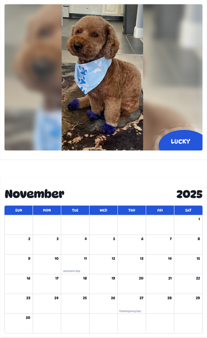 July 2025 - June 2026 Lucky - Pawidols Pet Calendar