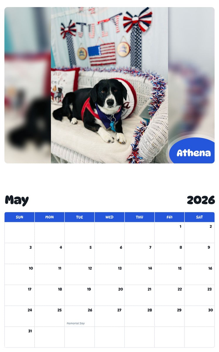 2026 - 2027 Athena - Pawidols Pet Calendar