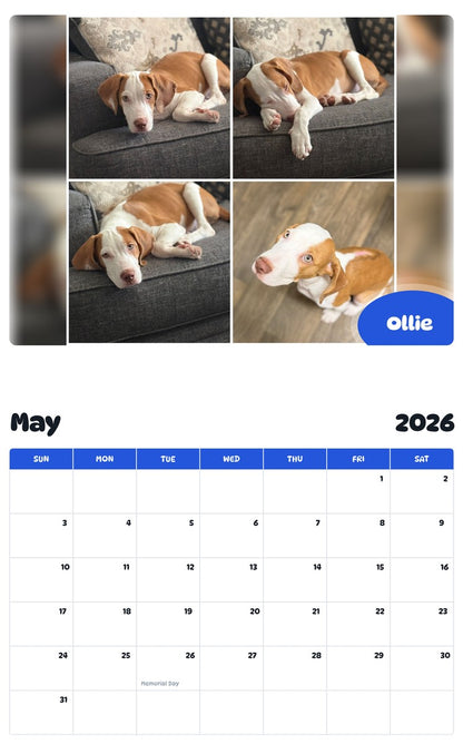 2026 - 2027 Ollie - Pawidols Pet Calendar