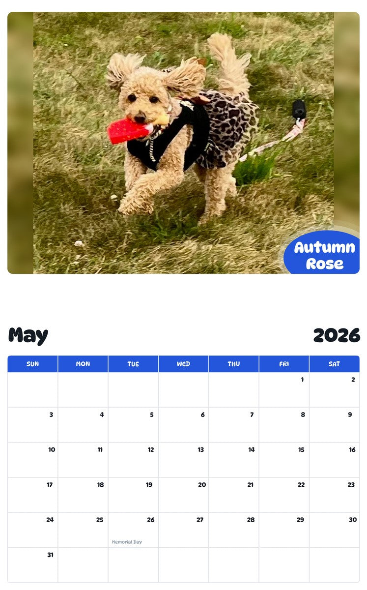2026 - 2027 Autumn Rose - Pawidols Pet Calendar