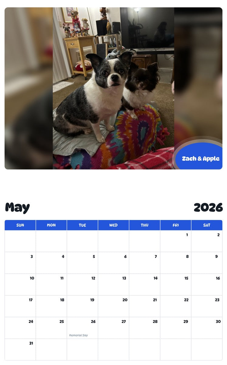 2026 - 2027 Zach & Apple - Pawidols Pet Calendar