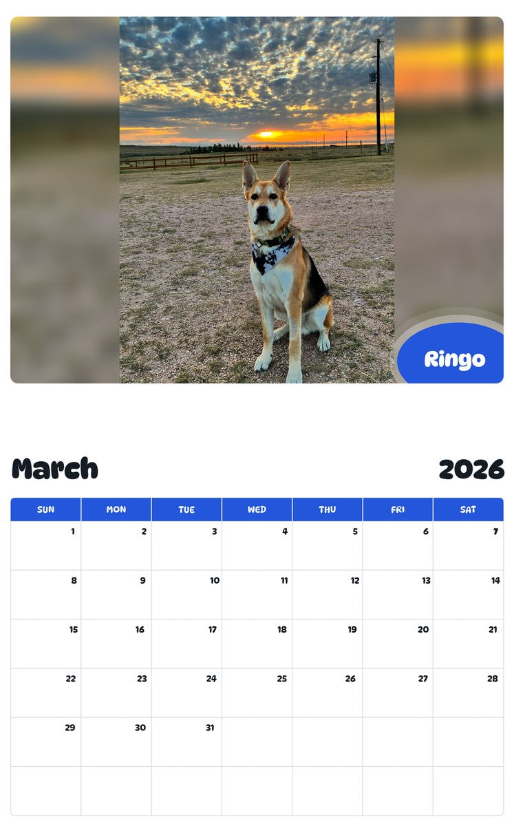 November 2025 - October 2026 Ringo - Pawidols Pet Calendar