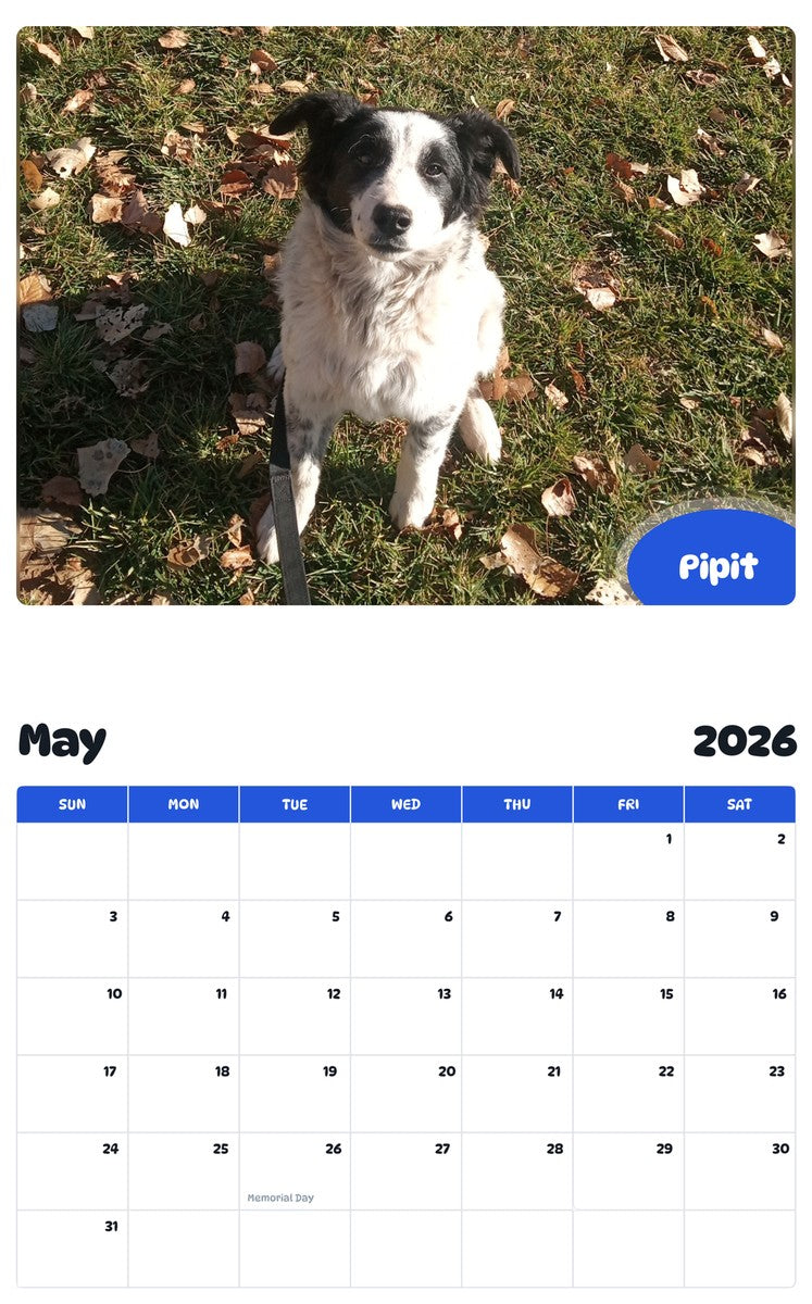 2026 - 2027 Pipit - Pawidols Pet Calendar