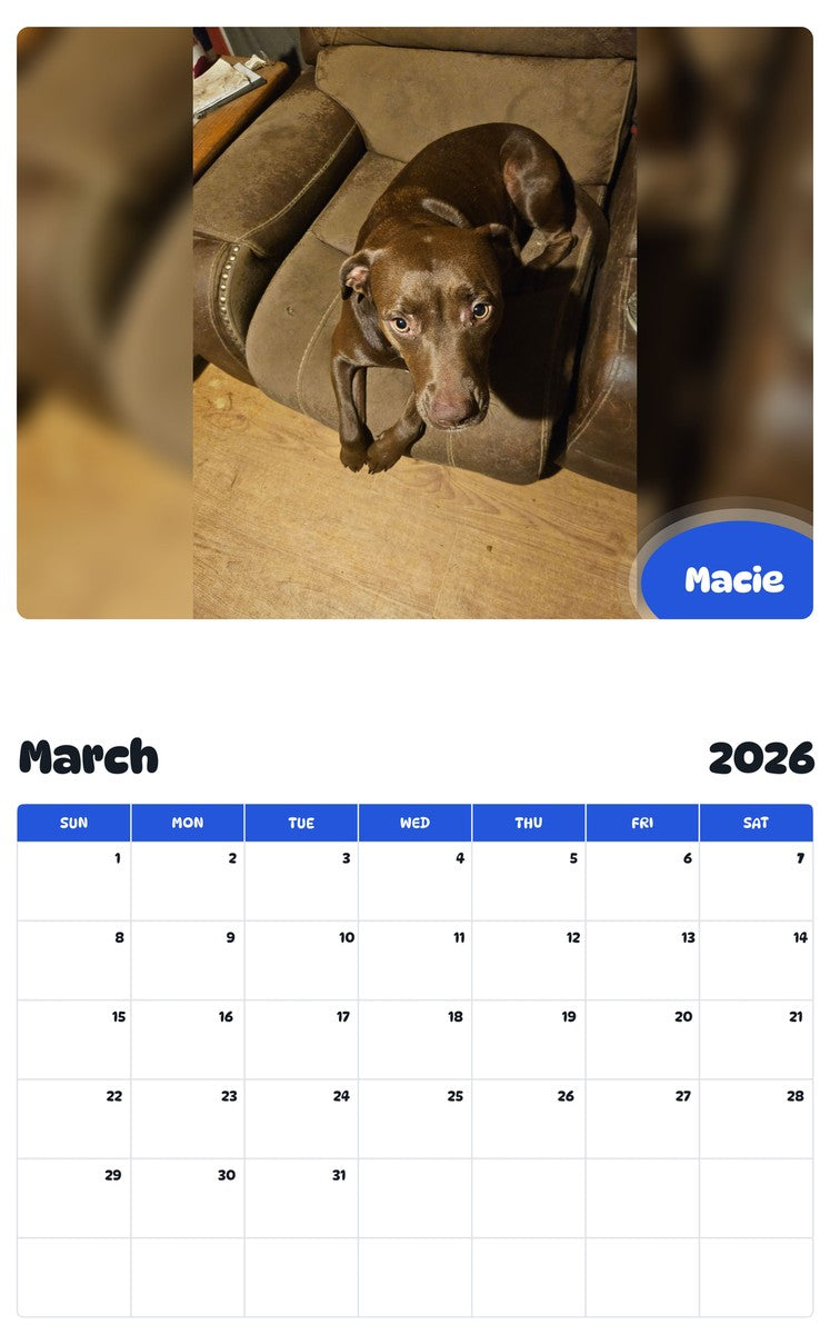November 2025 - October 2026 Macie - Pawidols Pet Calendar