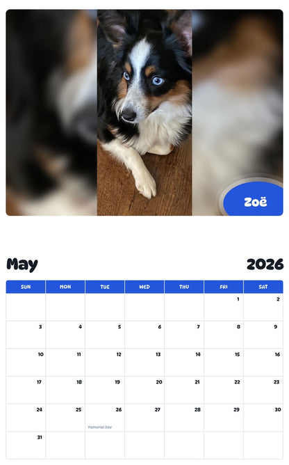 2026 - 2027 Zoë - Pawidols Pet Calendar
