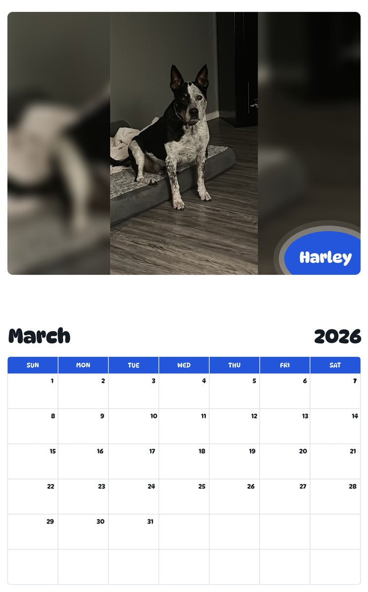 November 2025 - October 2026 Harley - Pawidols Pet Calendar
