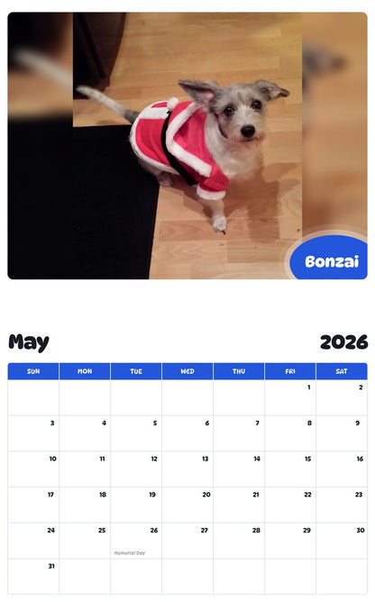 2026 - 2027 Bonzai - Pawidols Pet Calendar