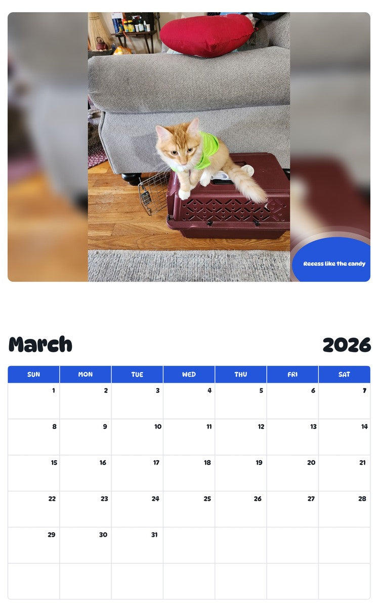 November 2025 - October 2026 Recess like the candy - Pawidols Pet Calendar