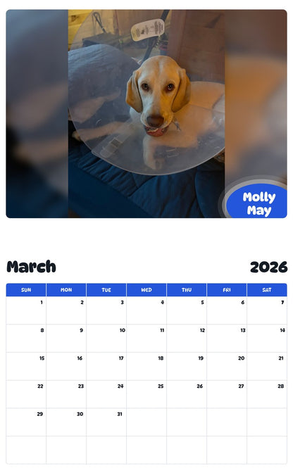 November 2025 - October 2026 Molly May - Pawidols Pet Calendar