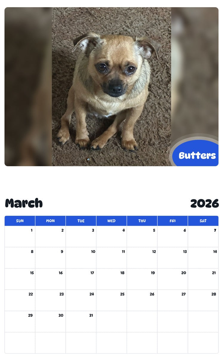 November 2025 - October 2026 Butters - Pawidols Pet Calendar