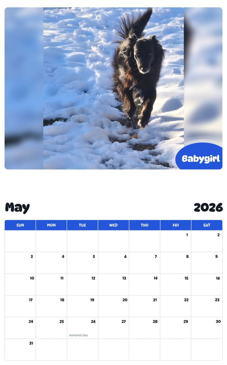 2026 - 2027 Babygirl - Pawidols Pet Calendar