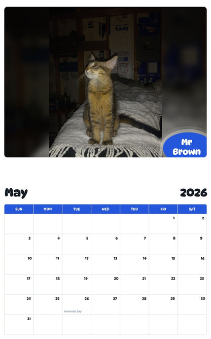 2026 - 2027 Mr Brown - Pawidols Pet Calendar