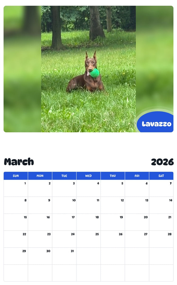 November 2025 - October 2026 Lavazzo - Pawidols Pet Calendar