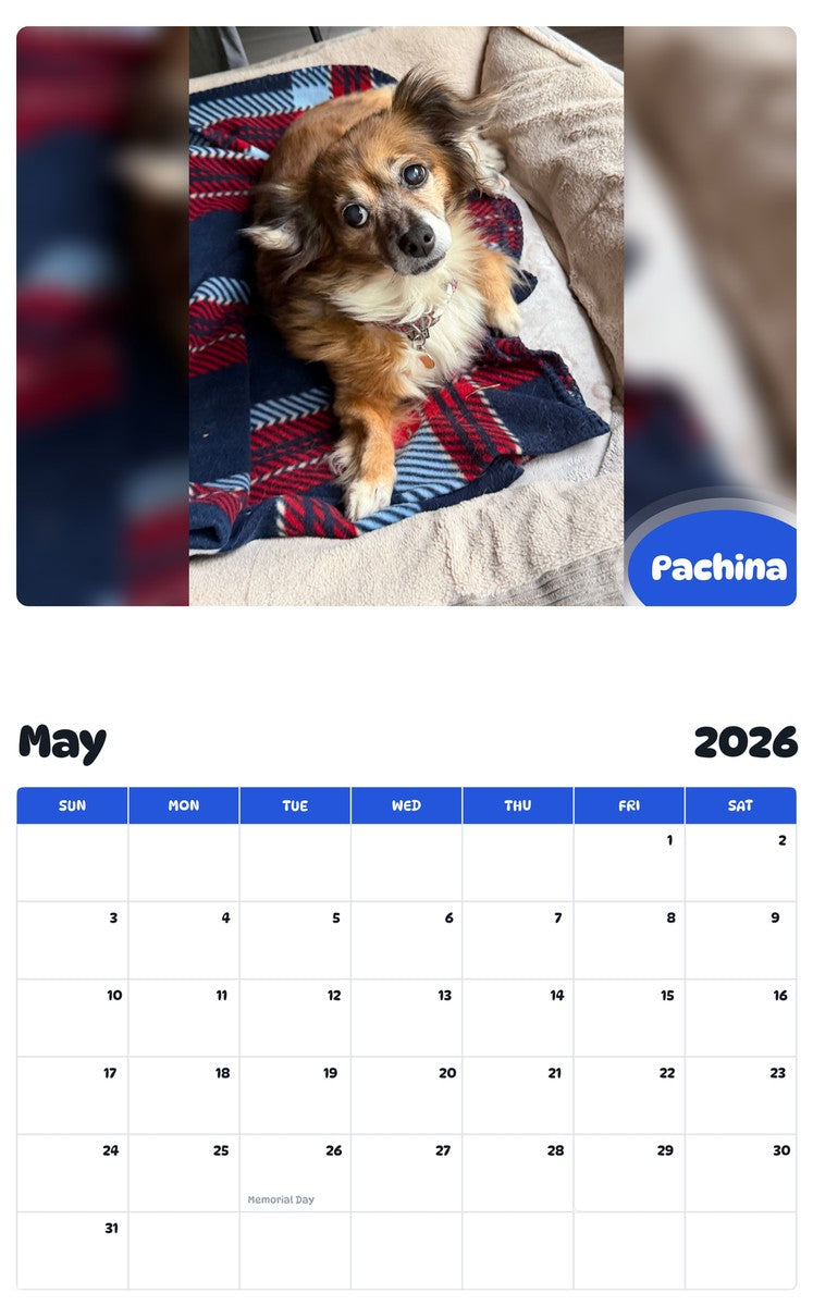 2026 - 2027 Pachina - Pawidols Pet Calendar