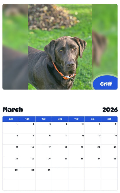 November 2025 - October 2026 Griff - Pawidols Pet Calendar