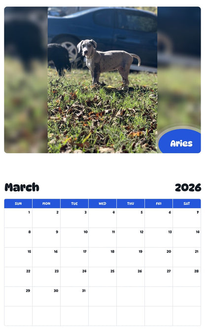 November 2025 - October 2026 Aries - Pawidols Pet Calendar