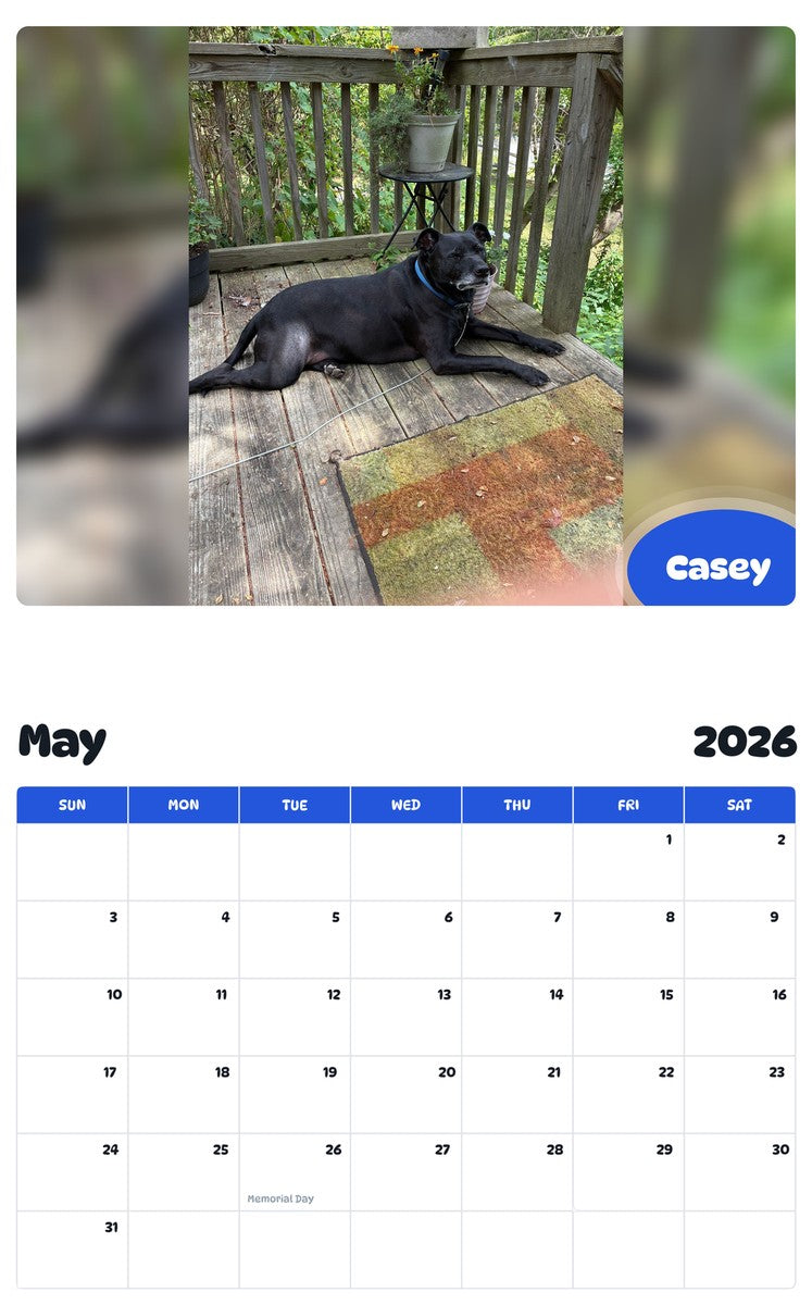 2026 - 2027 Casey - Pawidols Pet Calendar