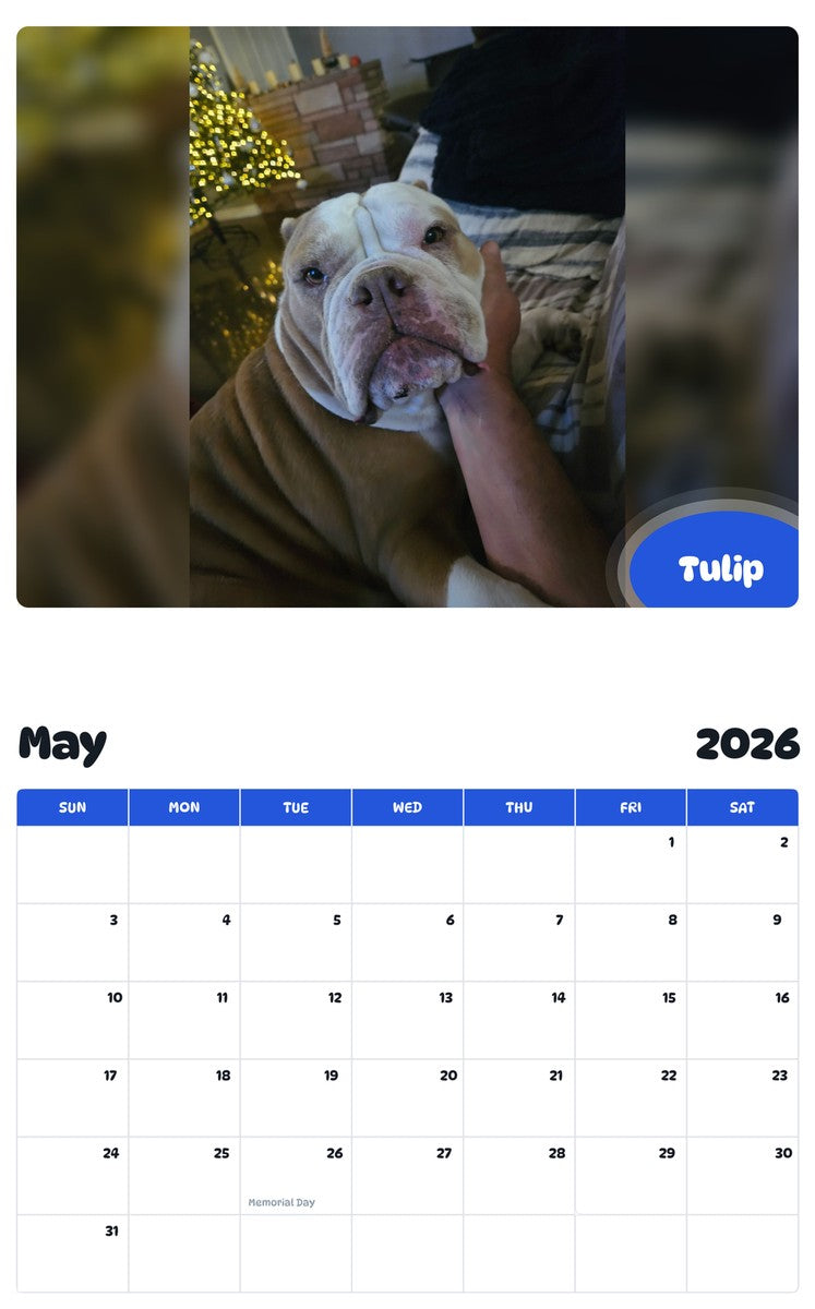 2026 - 2027 Tulip - Pawidols Pet Calendar