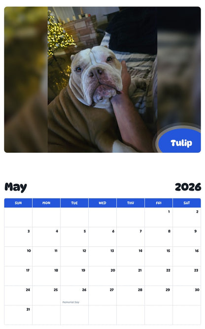 2026 - 2027 Tulip - Pawidols Pet Calendar