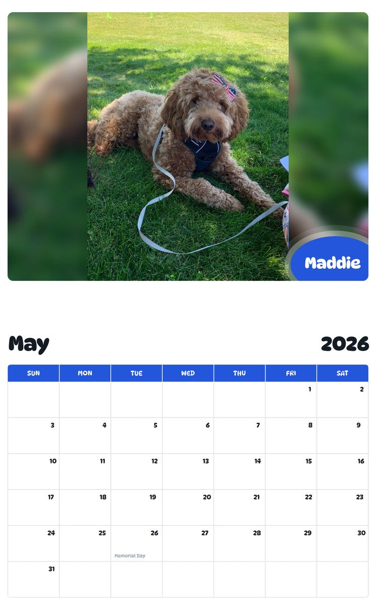 2026 - 2027 Maddie - Pawidols Pet Calendar
