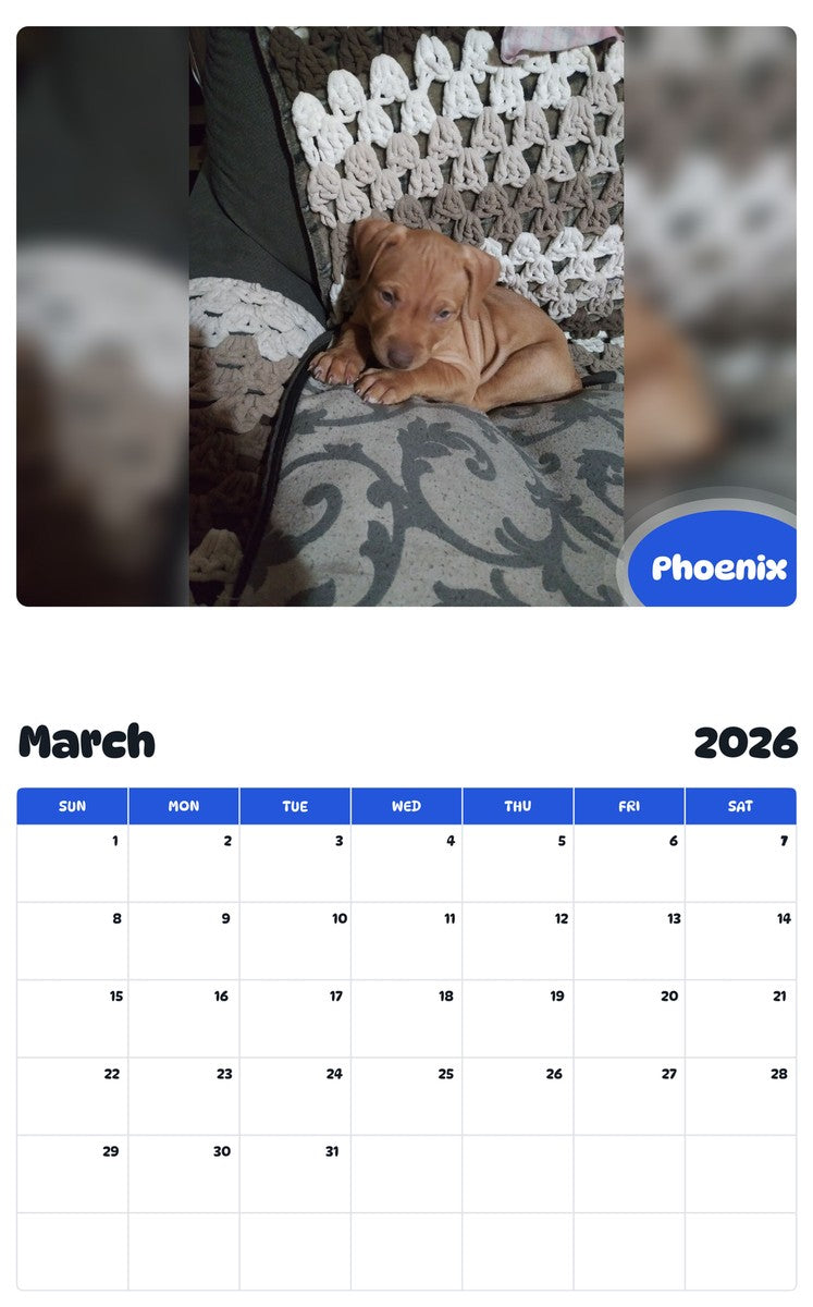 November 2025 - October 2026 Phoenix - Pawidols Pet Calendar