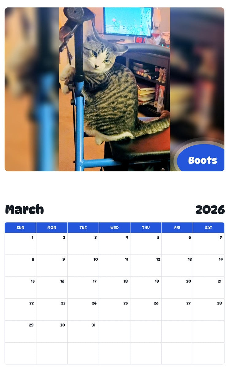 November 2025 - October 2026 Boots - Pawidols Pet Calendar