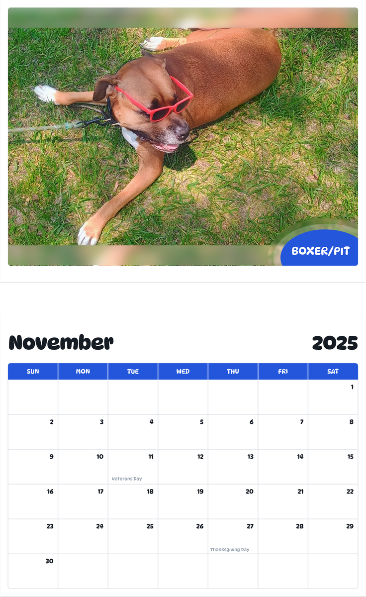 July 2025 - June 2026 Boxer/Pit - Pawidols Pet Calendar