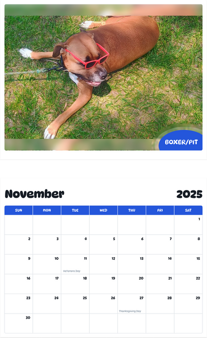 July 2025 - June 2026 Boxer/Pit - Pawidols Pet Calendar