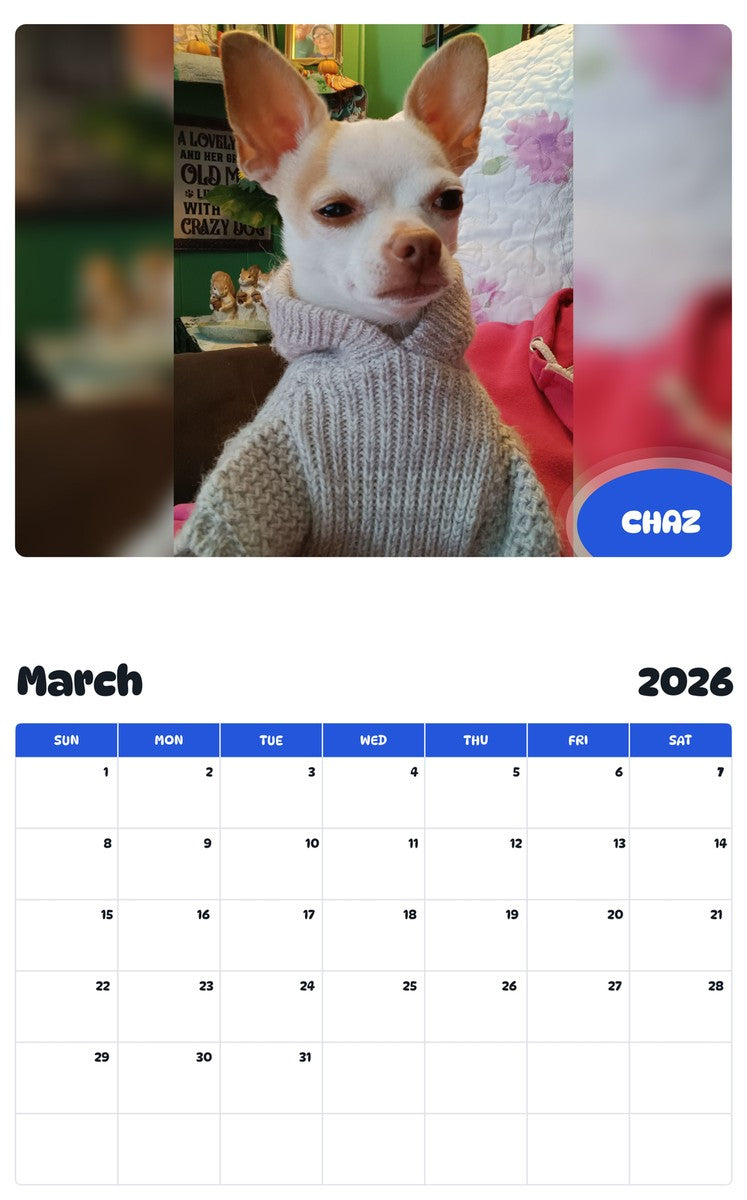 November 2025 - October 2026 CHAZ - Pawidols Pet Calendar