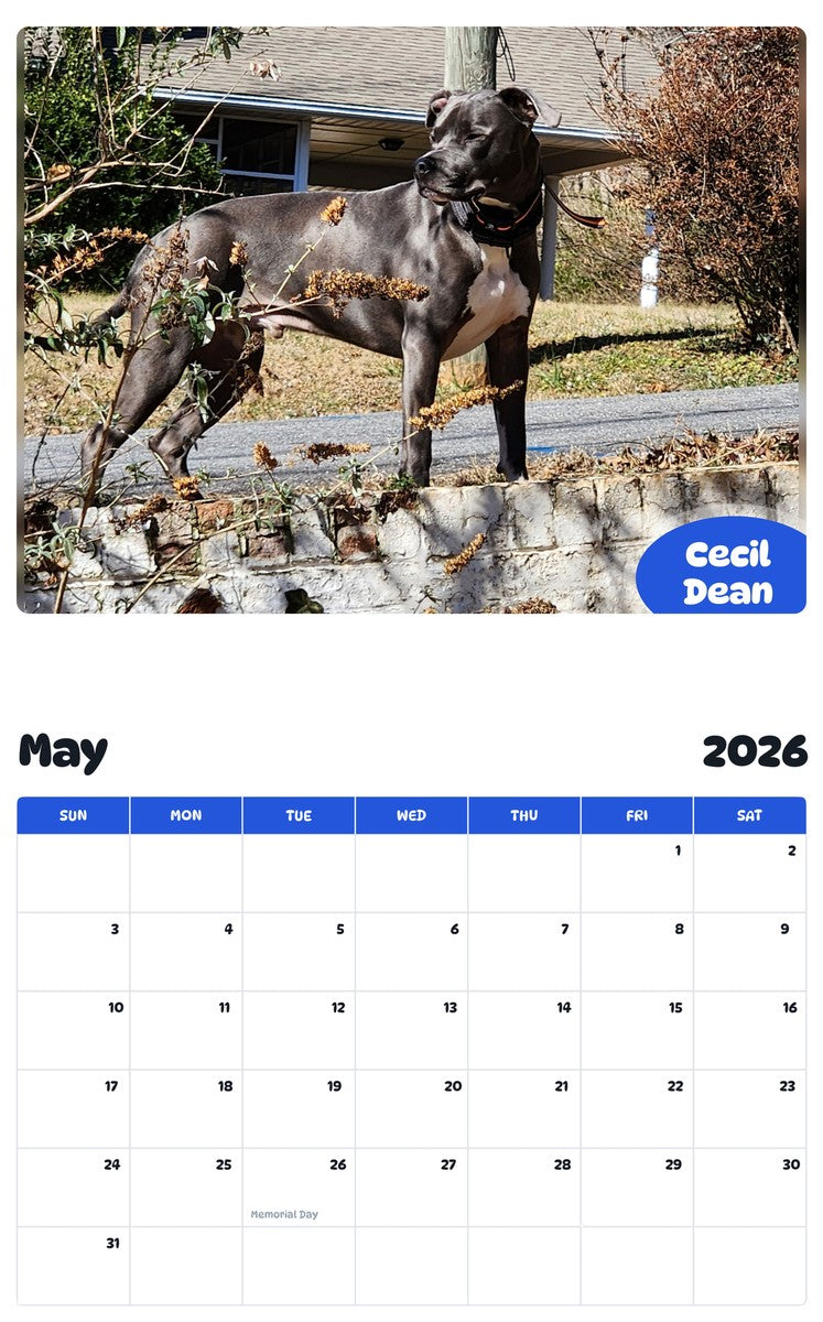 2026 - 2027 Cecil Dean - Pawidols Pet Calendar