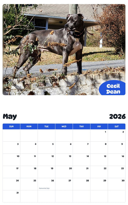 2026 - 2027 Cecil Dean - Pawidols Pet Calendar