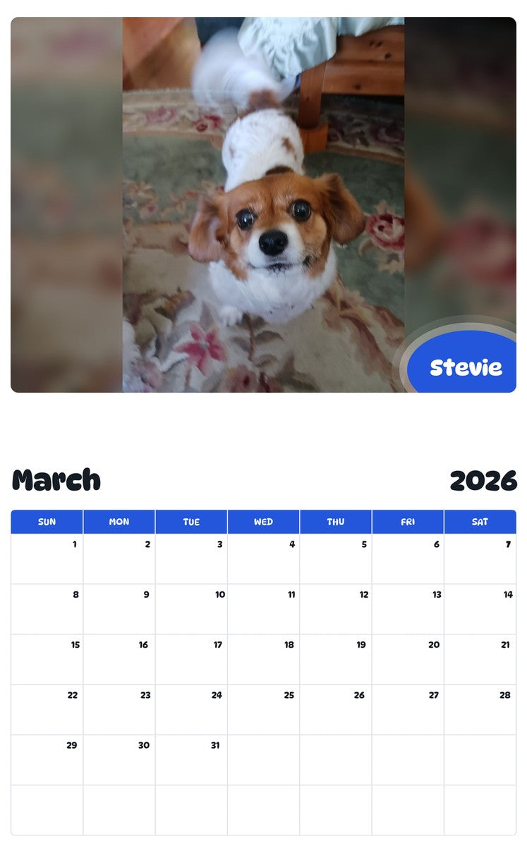 November 2025 - October 2026 Stevie - Pawidols Pet Calendar