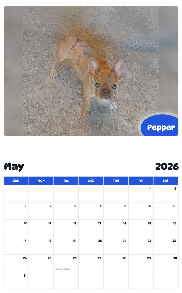 2026 - 2027 Pepper - Pawidols Pet Calendar