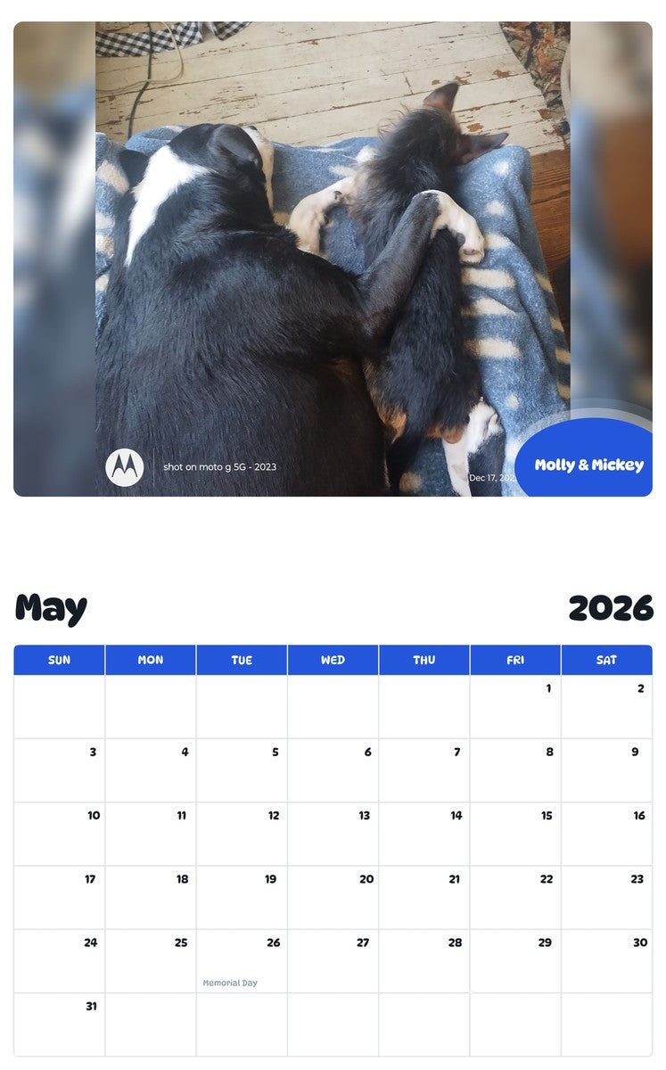 2026 - 2027 Molly & Mickey - Pawidols Pet Calendar