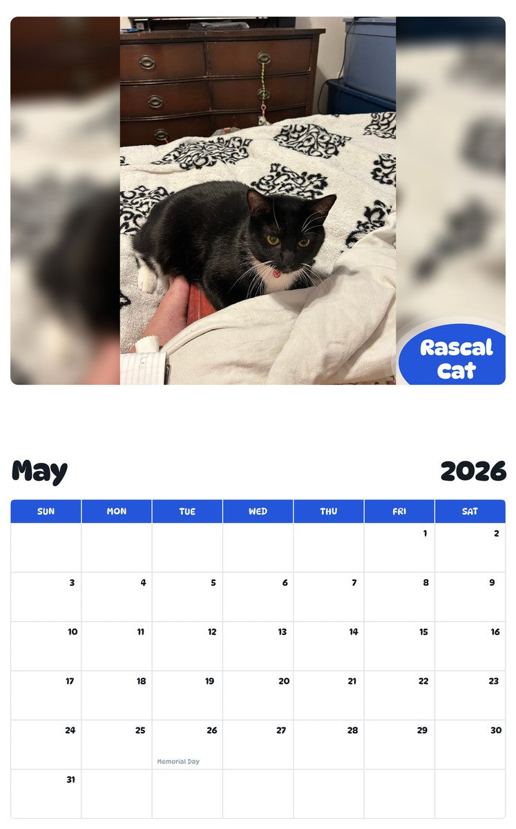 2026 - 2027 Rascal Cat - Pawidols Pet Calendar