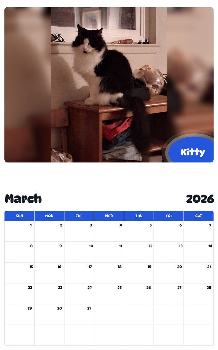 November 2025 - October 2026 Kitty - Pawidols Pet Calendar