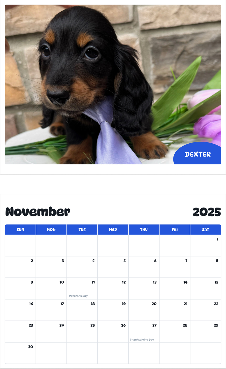 July 2025 - June 2026 Dexter - Pawidols Pet Calendar