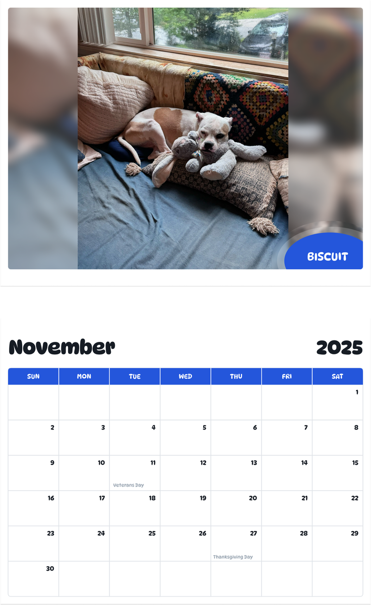 July 2025 - June 2026 Biscuit - Pawidols Pet Calendar