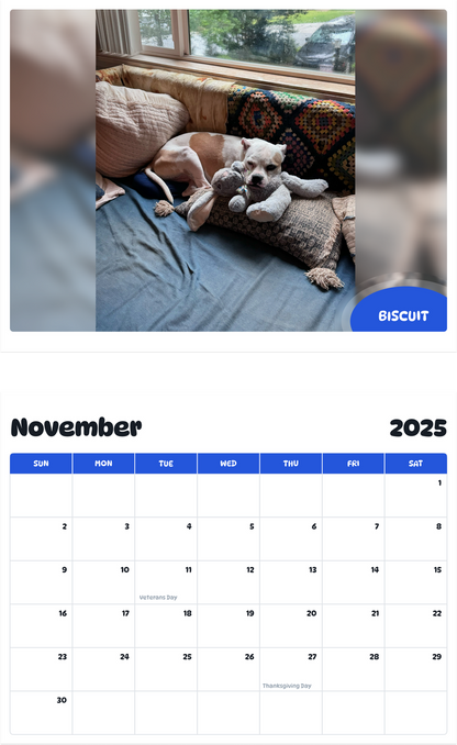 July 2025 - June 2026 Biscuit - Pawidols Pet Calendar